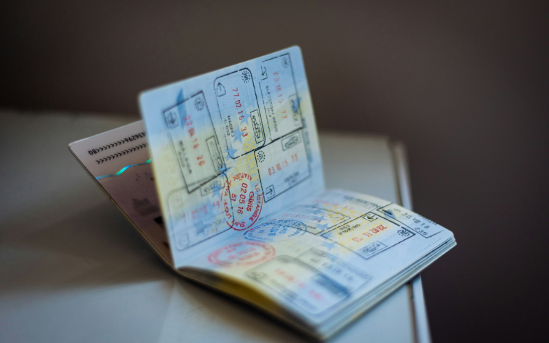 Visa Processing Assistance
